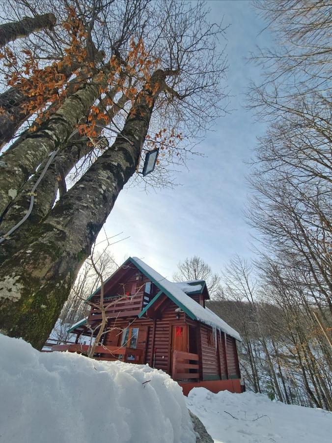 科拉欣Vikendica Crkvina别墅 外观 照片